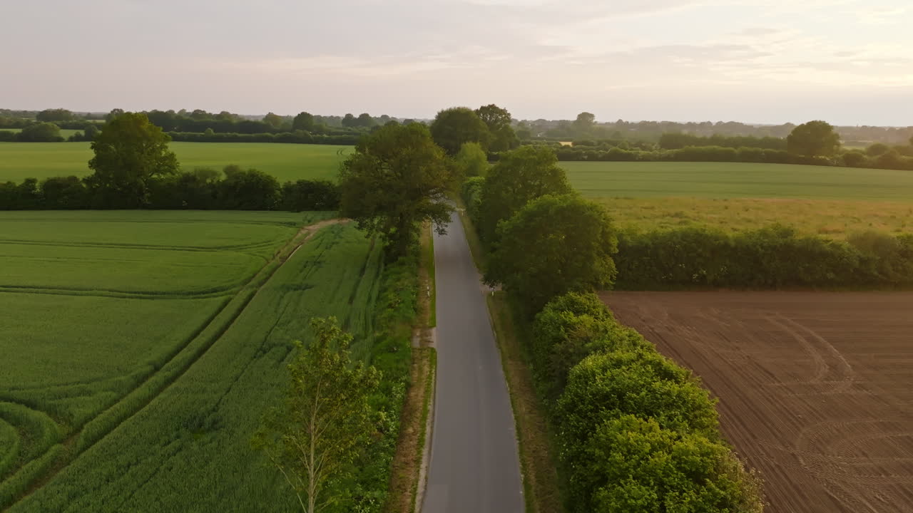 Aerial view of a quiet road alley in middle of rural fields, sunset on countryside