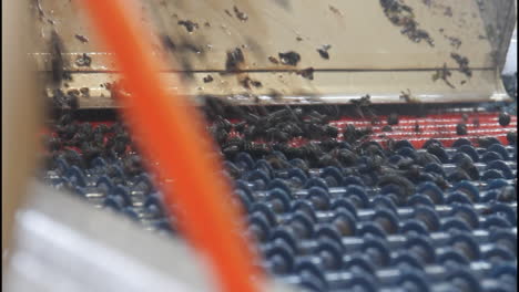 conveyor belt for cleaning and processing materials