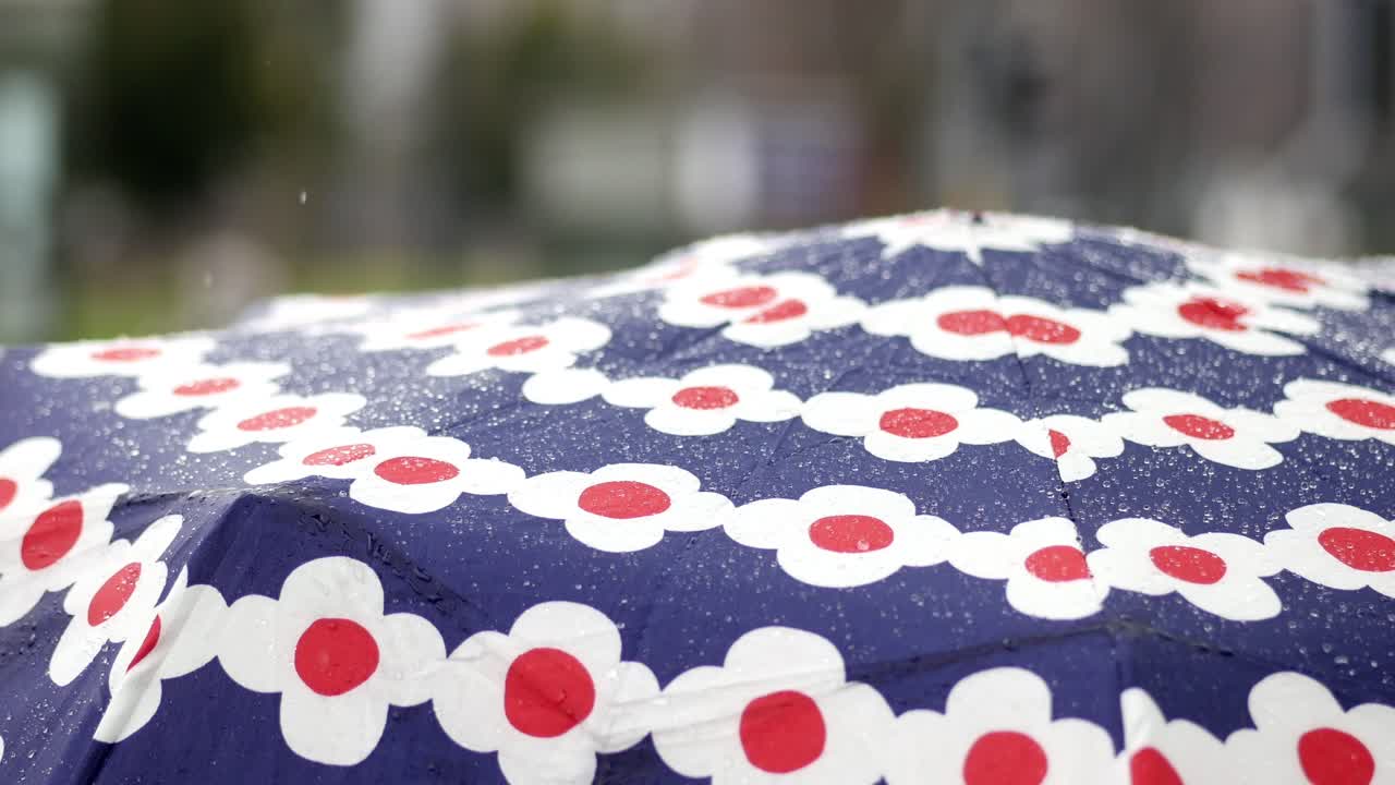 Rainy Day Umbrella with Floral Design
