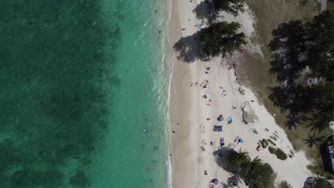 Toma-De-Drones-Aéreos-Cinematográficos-De-4k-De-Arena-Blanca-Y-Bañistas-Contrastados-Con-Agua-Azul-Clara-En-La-Playa-De-Kailua-En-Oahu