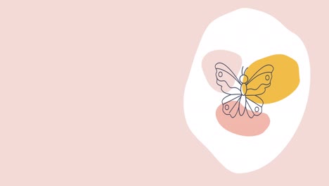 video en 4k de una mariposa de dibujos animados en estilo doodle sobre un fondo rosa.