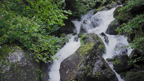 water stream in the rainforest