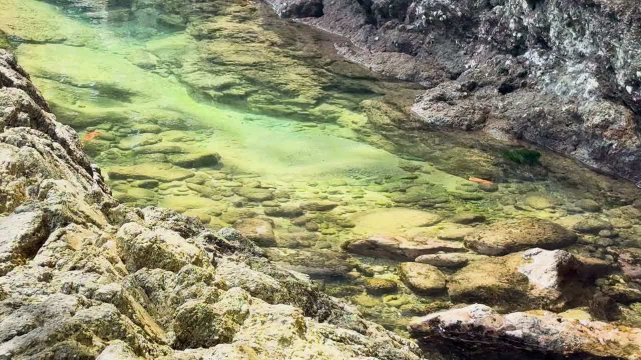 Una vista dettagliata di una tranquilla piscina naturale rocciosa con acqua verde trasparente e texture frastagliate.