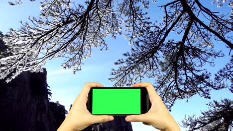 grabar un video de la naturaleza con un teléfono inteligente con pantalla verde
