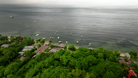 los altos árboles del bosque de manglares dominan la tierra y la costa de nusa lembongan