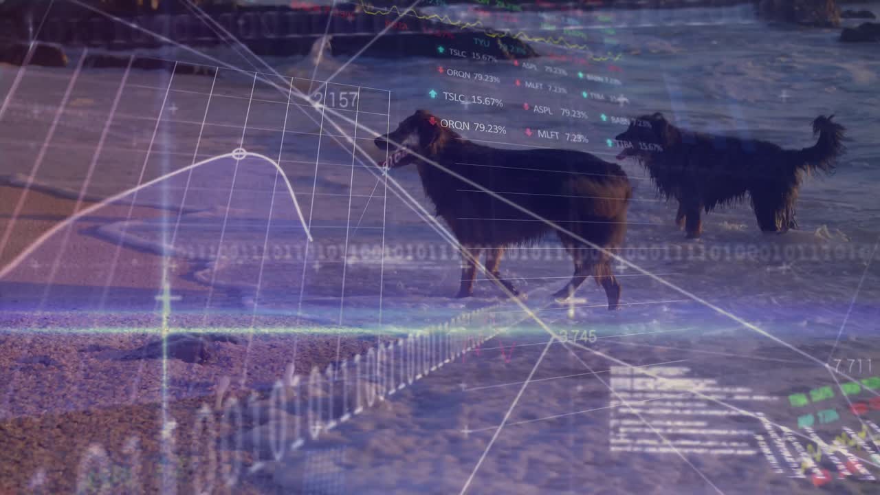 해변에 있는 개들에 대한 데이터 처리의 애니메이션