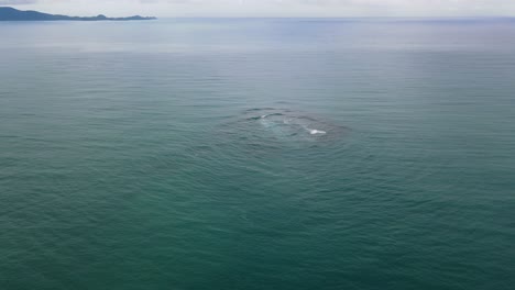 aerial view of submerged coral structure beneath calm ocean surface with distant island horizon