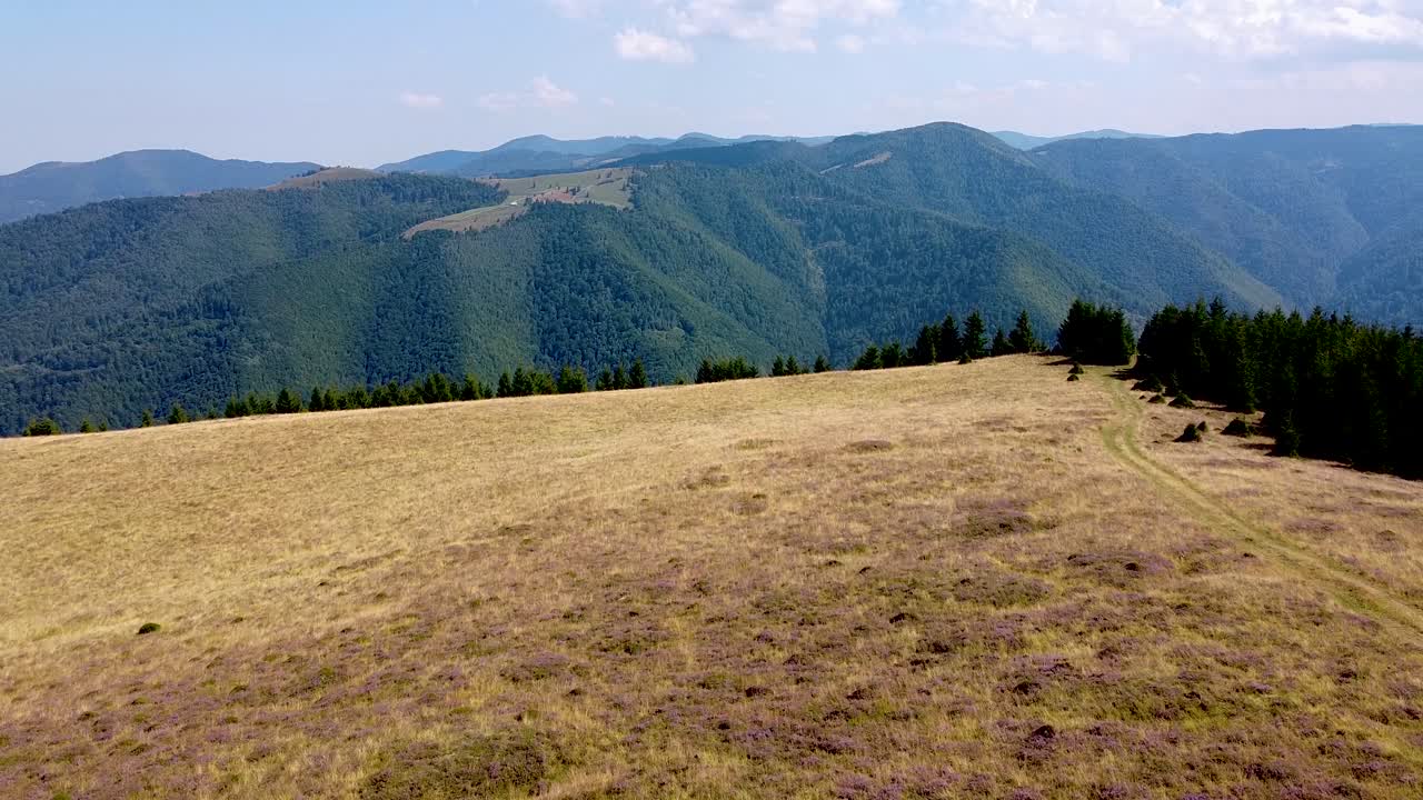 apuseni 산의 marisel 마을 근처 ijar 산