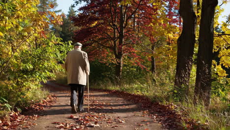 senior man walking in autumn park