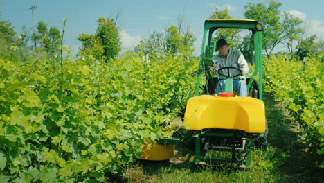 germer en un pequeño tractor con equipo adicional procesa la vid de las uvas con herbicidas