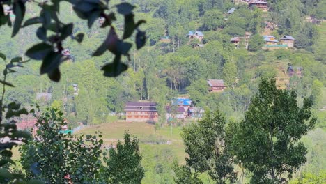 beauty of rural india and farmers land, nature beauty, hills, green fields with village life in forest area and timeless travel escapes, sstktravel