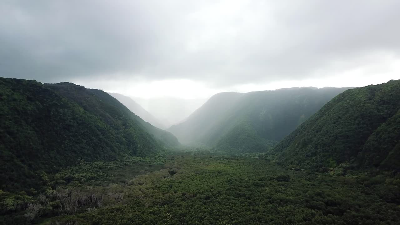 Lush Green Valley Surrounded by Mist-Covered Mountains