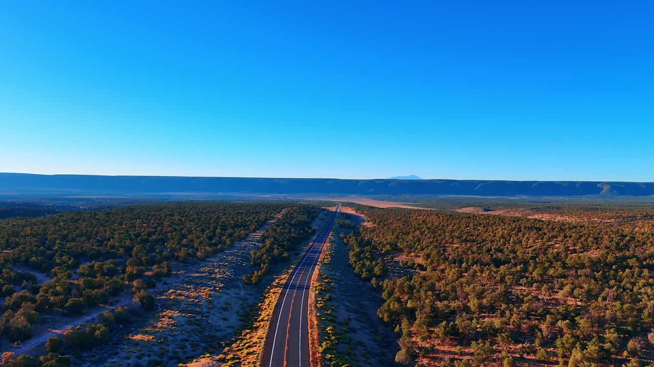 View on the road along the valley covered with green bushes. Nature of Arizona, USA from drone