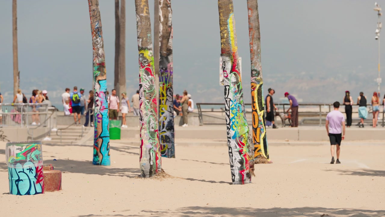 Parlak bir sahil gökyüzü altında Venice Beach'i çevreleyen manzaralı palmiye ağaçları