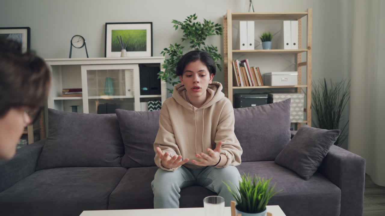 Teenager and Counselor Therapy Session