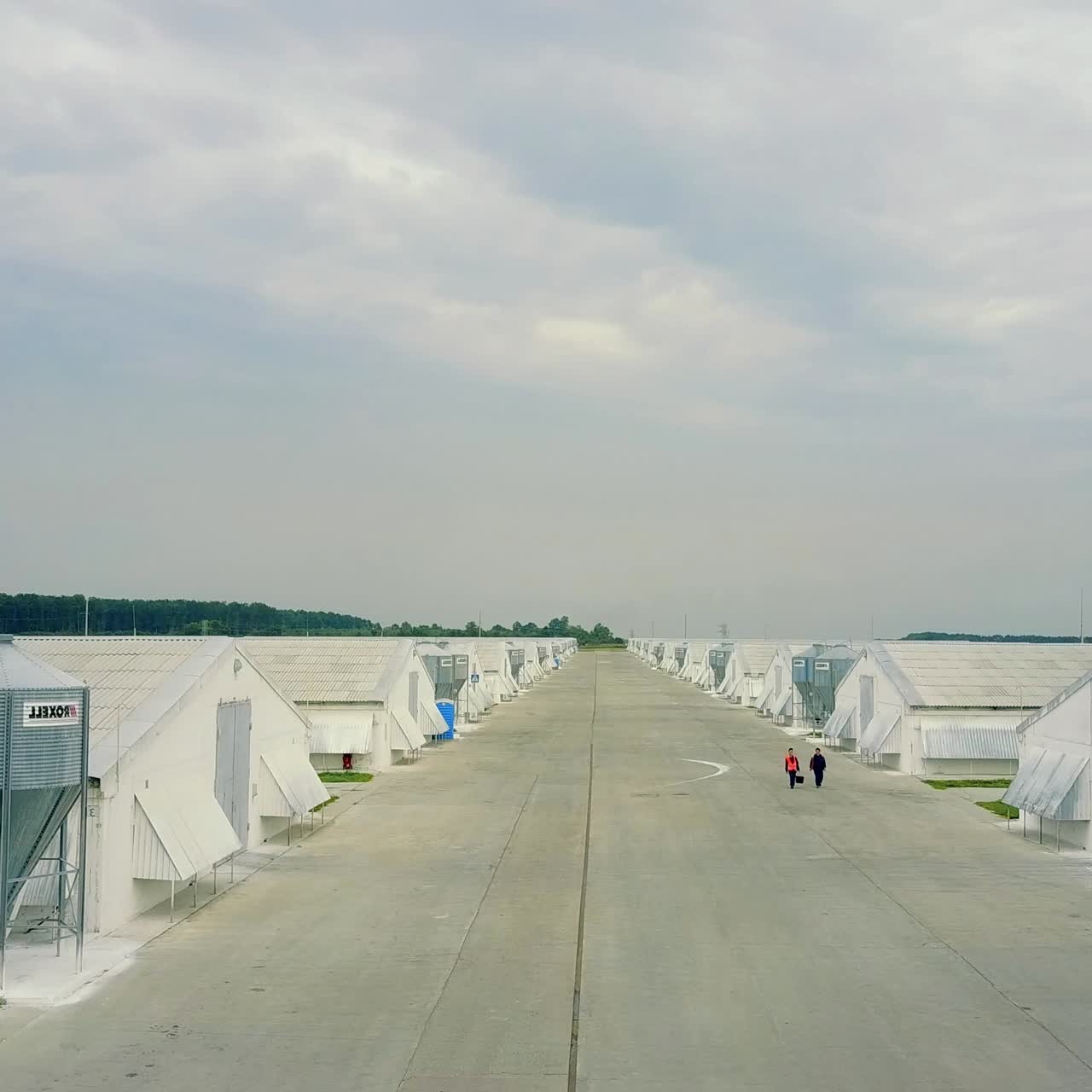 vista de las casas de aves de corral