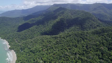 Lush-Mountain-Rainforest-On-The-Australian-Coastline