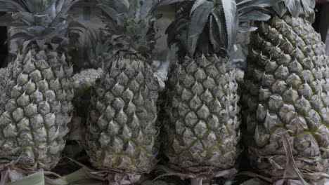 piña fresca en la tienda de frutas para la venta por la noche