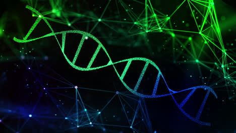 dna helix structure rotating