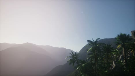 mountain and field landscape with palms