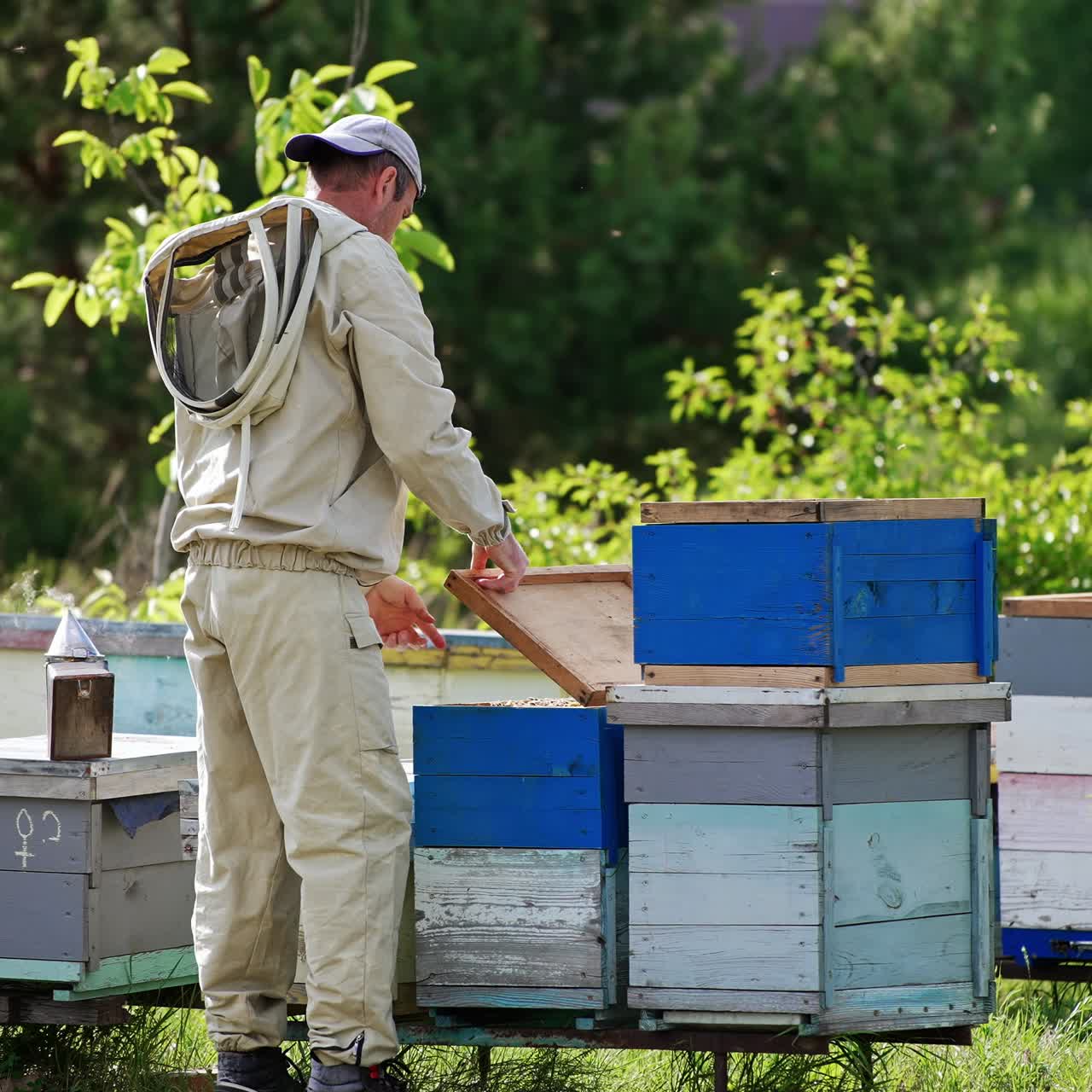 Un apicoltore caucasico in tenuta protettiva leggera colpisce con il pugno il coperchio di un alveare. L'apicoltore chiude l'alveare con attenzione, controllando le api.