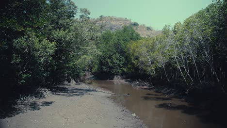 Dry-river-running-through-a-mangrove-forest-in-Thailand