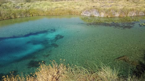 Disparo-De-Drone-Inclinado-Hacia-Abajo-De-Una-Piscina-Azul-En-Cuatrocienegas