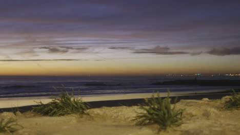 Some plants by the beach at sunset in Costa Da Caparica.