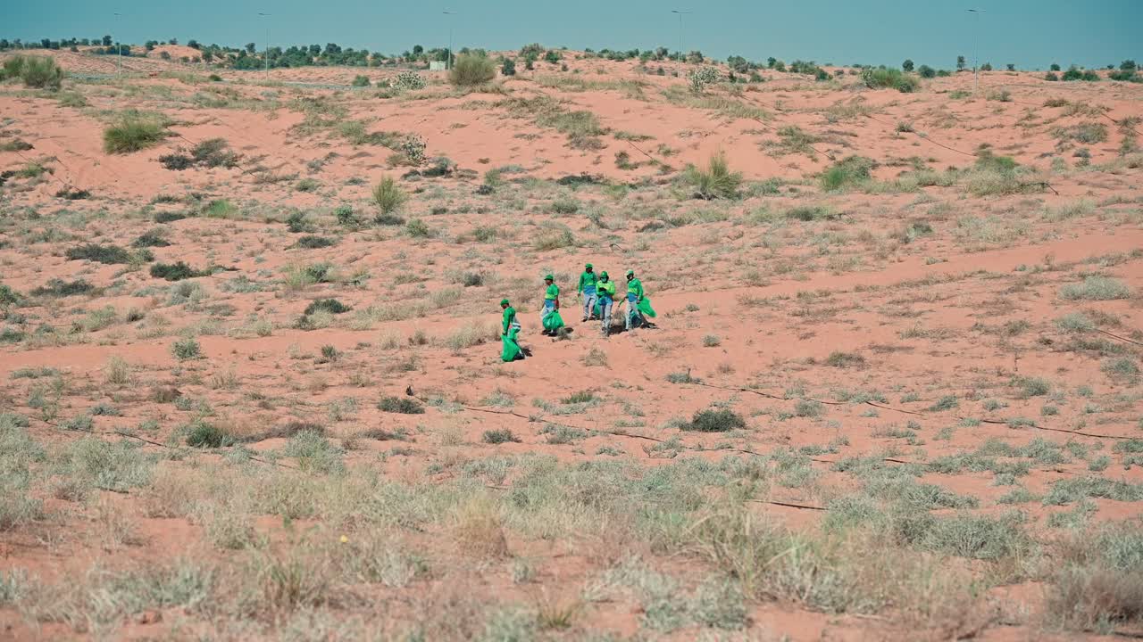 Green plants and trees bring life to the Arabian desert landscape in the UAE