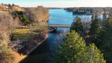 Aerial-view-of-lush-coniferous-trees-on-the-shores-of-a-small-creek