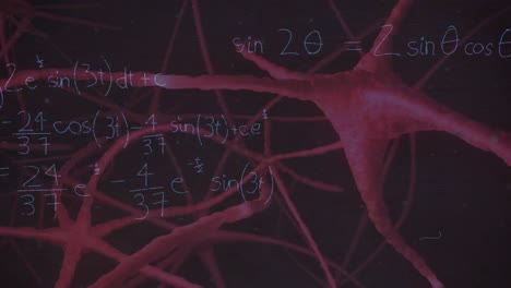 animation von mathematischen gleichungen über neuronen auf schwarzem hintergrund