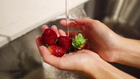 hands washing strawberries in a kitchen sink