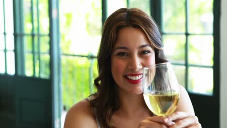 Portrait-of-beautiful-woman-having-wine-4k