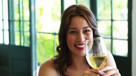 retrato de una hermosa mujer tomando vino 4k