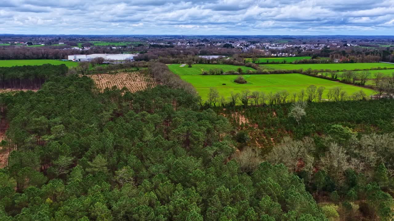 Breed luchtpanorama van een dicht dennenbos naast lappendeken van groene landbouwgrond, zich uitstrekkend naar een verre Franse stad. Normandië, Frankrijk, Campagne Normande