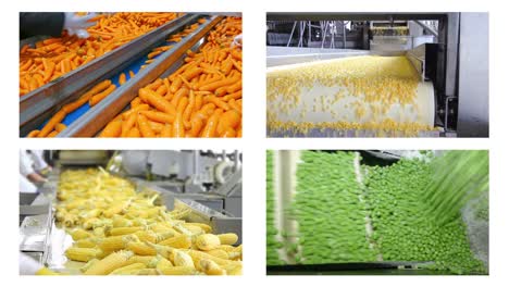 vegetable processing in food industry, multi screen