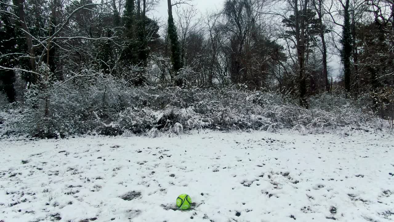 Snow-covered trees and bushes, low angle drone view