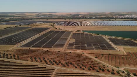 Drohnenansicht-Einer-Großen-Anlage-Aus-Solarmodulen-Mitten-Auf-Einem-Feld-An-Einem-Sonnigen-Tag