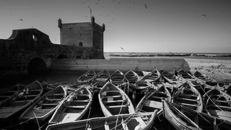 essaouira boats 17