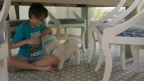 cute little boy tries to hug his dog under the dining room table