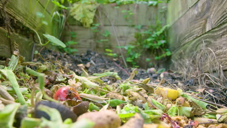 adding to the colourful compost heap