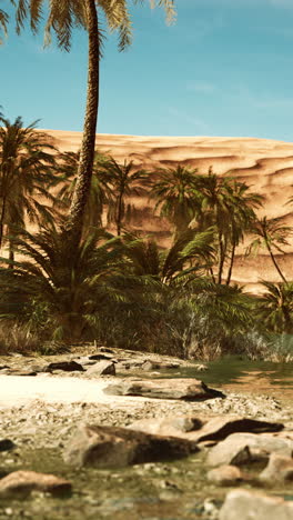 serene oasis in the desert