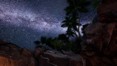 4K-hyperlapse-star-trails-over-sandstone-canyon-walls-and-palms