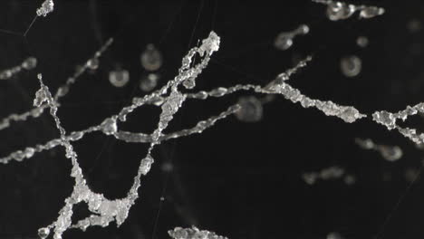 cristales de hielo crecen en el agua