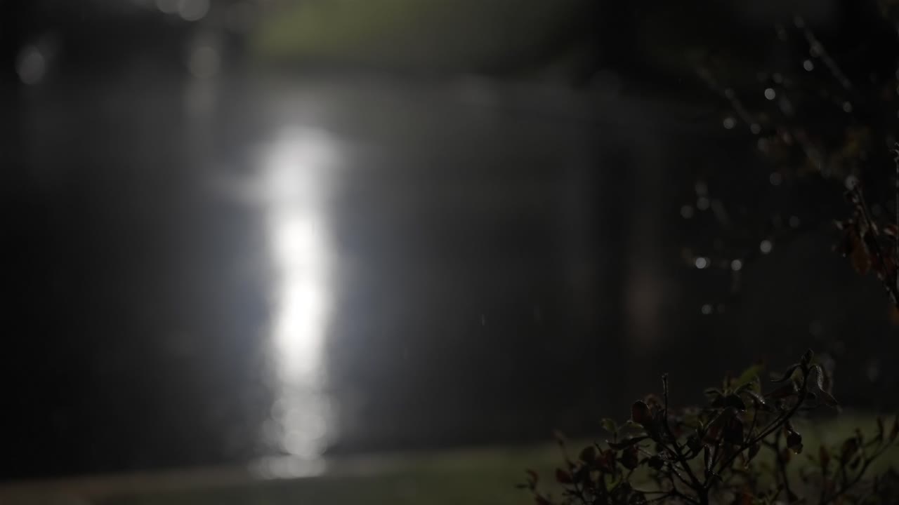 Nighttime Raindrops in Slow Motion Urban Scene, budding branch with street, copy space