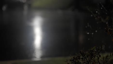 nighttime raindrops in slow motion urban scene, budding branch with street, copy space