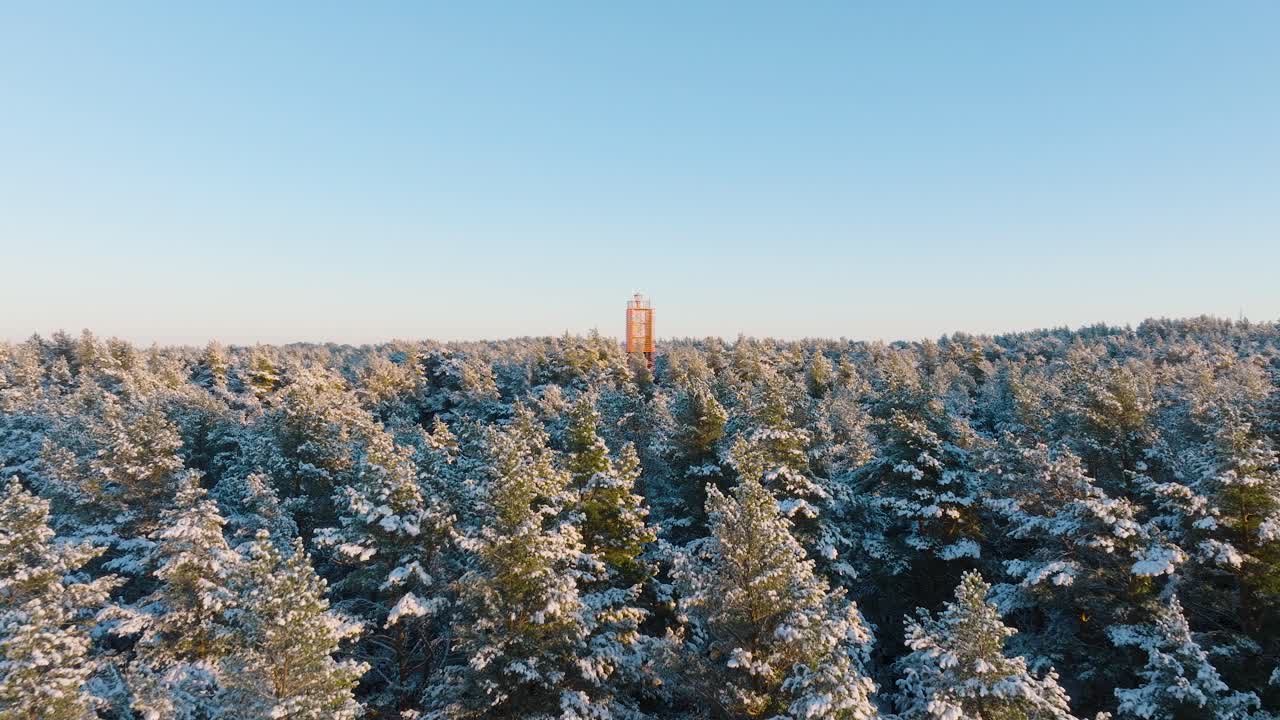 Aerial footage of trees covered with snow, sunny winter day before the sunset, golden hour, Nordic woodland pine tree forest, Baltic sea coast, red lighthouse, wide drone shot moving forward low