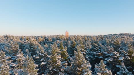 雪覆蓋的樹木的空中拍攝,日落前的陽光明<unk>的冬天,黃金時間,北歐森林松樹森林,波羅的海海岸,紅色燈塔,廣<unk>無人機拍攝向前移動低