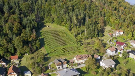 Vista-Aérea-Del-Paisaje-De-Campos-Verdes-Desde-Un-Dron,-Hermosos-Viñedos-En-Sittersdorf,-Austria