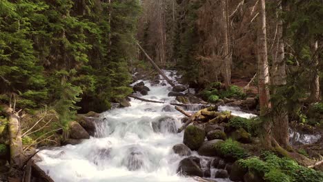 mountain river in the wood. beautiful wildlife landscape.